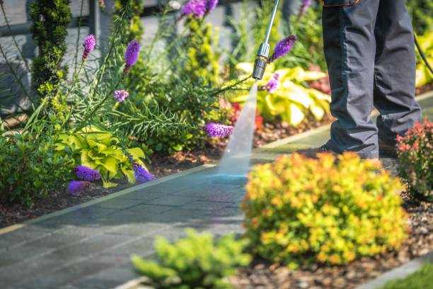 Best Gutter Cleaning  in Granite Shoals, TX